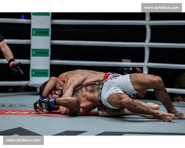 荷洛威对决奥尔多巅峰再战回顾两代羽量级王者恩怨史全面解读之战