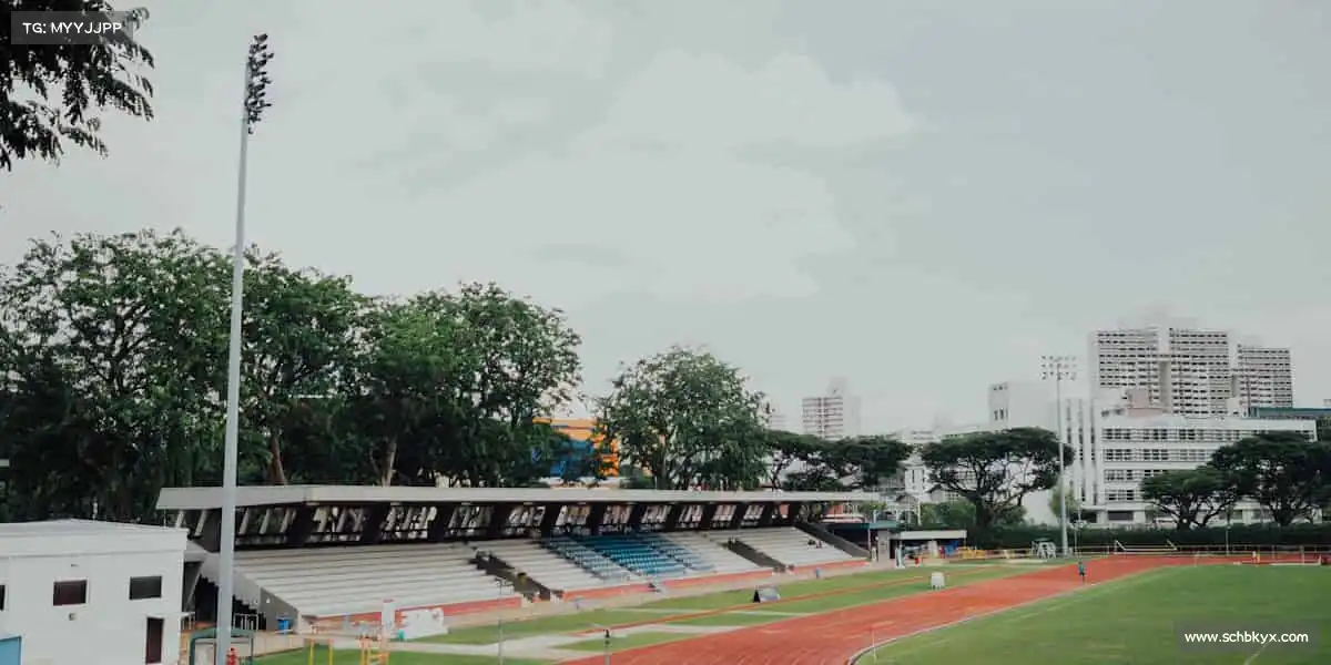 我们的核心竞争力